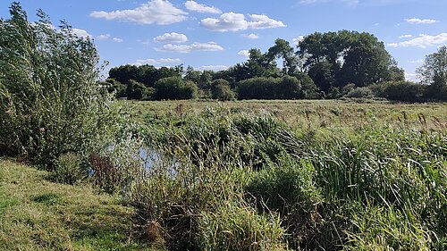 Yare Valley