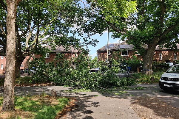 Branch on the Avenues