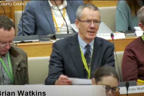 Cllr Brian Watkins at a meeting of Norfolk County Council.